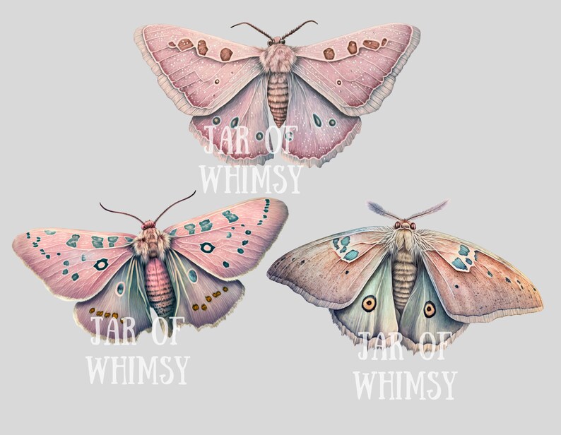 Akvarell pastellmalar Clipart Luna Moth PNG Digitala bildnedladdningar för korttillverkning Scrapbook Junk Journal Papperspyssel bild 9