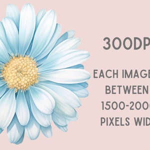 May include: A close-up of a light blue daisy with a yellow center. The image is 300 DPI and each image is between 1500-2000 pixels wide.