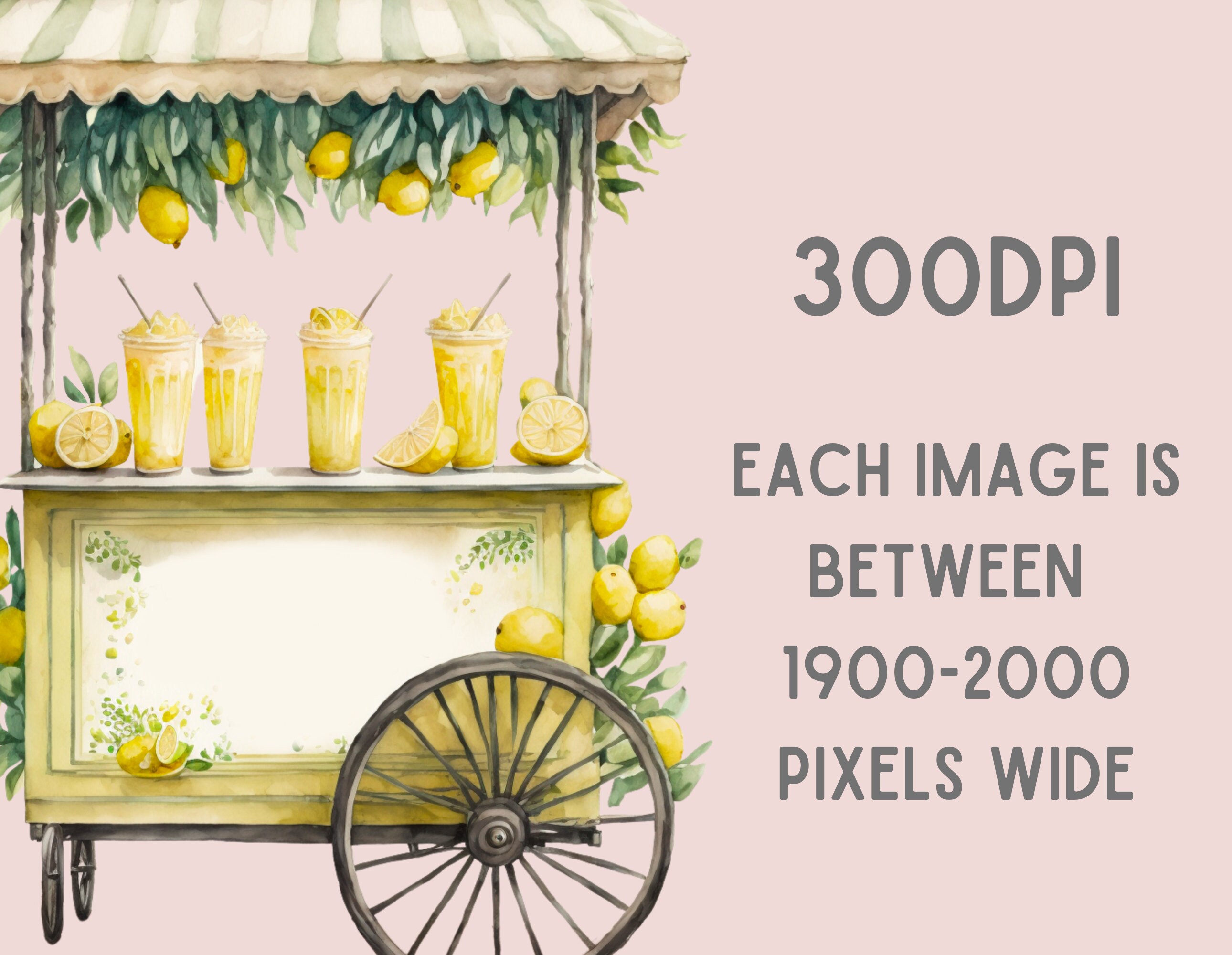 Watercolour Lemonade Stand Clipart - Lemon Fruit PNG Digital Image ...