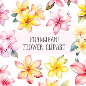 Fleurs tropicales Clipart aquarelle frangipanier Éléments PNG Téléchargements d'images numériques pour la fabrication de cartes Scrapbook Junk Journal travaux manuels en papier