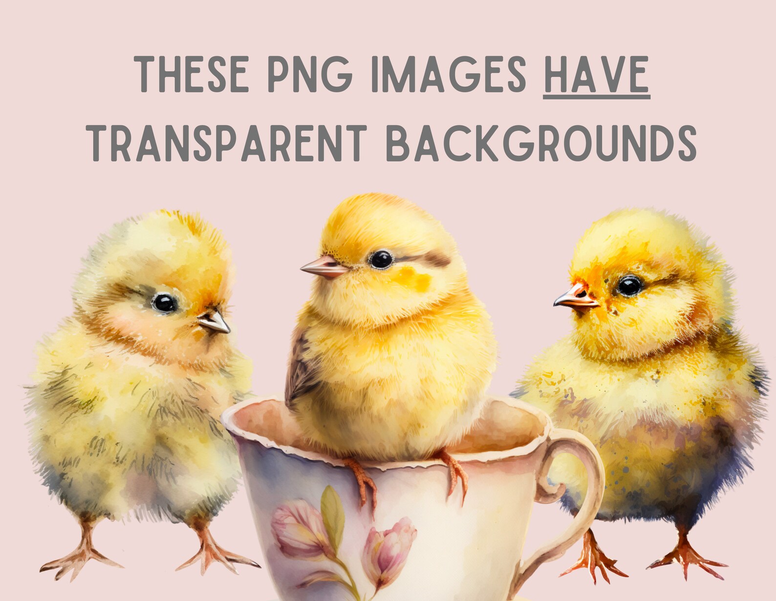 Watercolour Easter Chick Clipart - Spring Easter Basket PNG Digital ...