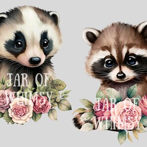 May include: Two watercolor illustrations of cute animals with pink roses. A badger with a white stripe on its forehead and a raccoon with a black mask.