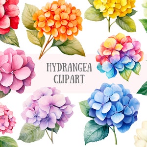 Acquerello Ortensia Clipart Fiore di primavera Grafica PNG Download di immagini digitali per la creazione di cartoline Scrapbook Junk Journal Mestieri di carta