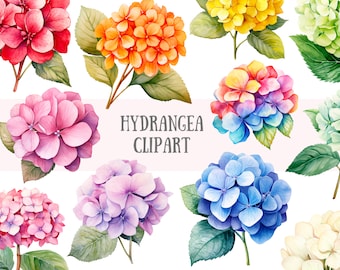 Watercolour Hydrangea Clipart Spring Flower Graphics PNG Digital Image Downloads for Card Making Scrapbook Junk Journal Paper Crafts