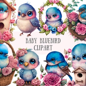 Aquarell Baby Bluebird Clipart - Frühling Blauer Vogel PNG digitale Bild-Downloads für die Kartengestaltung, Scrapbook, Junk Journal Papier Handwerk