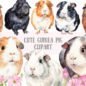Watercolour Spring Guinea Pig Clipart Hamster Pet PNG Digital Image Downloads for Card Making Scrapbook Junk Journal Paper Crafts