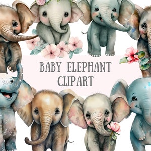 Aquarell Baby Elefant Clipart - Safari Tier PNG digitale Bild-Downloads für die Kartenherstellung, Scrapbook, Junk Journal, Papierhandwerk
