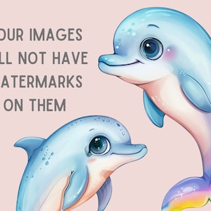 May include: Two cartoon dolphins, one with a rainbow tail, on a pink background. The text "YOUR IMAGES WILL NOT HAVE WATERMARKS ON THEM" is in the top left corner.