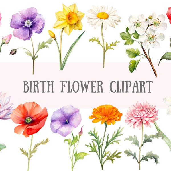 Watercolour Birth Flower Clipart Birthday Month Flower PNG Digital Image Downloads for Card Making Scrapbook Junk Journal Paper Crafts
