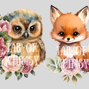 May include: Two watercolor illustrations of a brown owl and a red fox with pink roses and green leaves. The text "Jar of Whimsy" is written in white on each image.