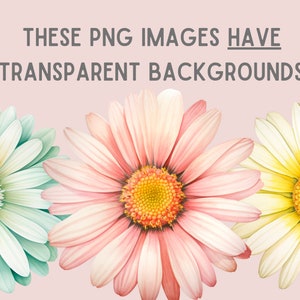 May include: Three watercolor-style daisies with pink, white, and green petals. The daisies have yellow centers and are arranged in a row.