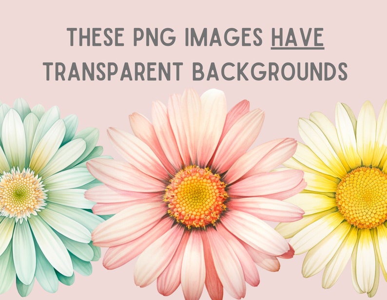 May include: Three watercolor-style daisies with pink, white, and green petals. The daisies have yellow centers and are arranged in a row.