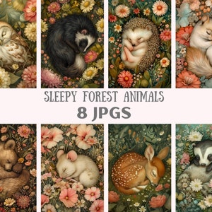 Acquerello Sleepy Forest Animal Clipart Animali del bosco JPG Download di immagini digitali per la creazione di cartoline Scrapbook Junk Journal Mestieri di carta