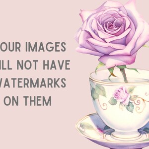 Watercolour Spring Rose Teacup Clipart Tea Time PNG Digital Image ...