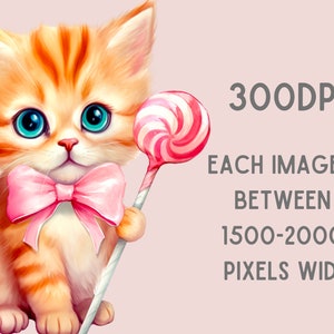 May include: A cute orange tabby kitten with blue eyes wearing a pink bow tie holds a pink and white swirl lollipop.
