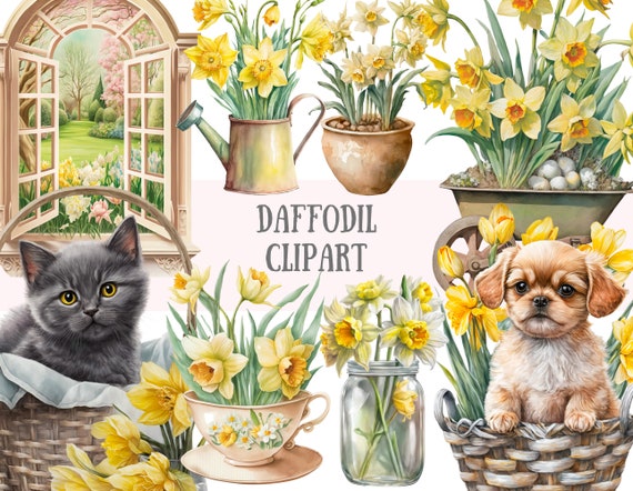 Watercolour Vintage Daffodil Clipart Yellow Spring Flower PNG Digital Image Downloads for Card Making Scrapbook Junk Journal Paper Crafts