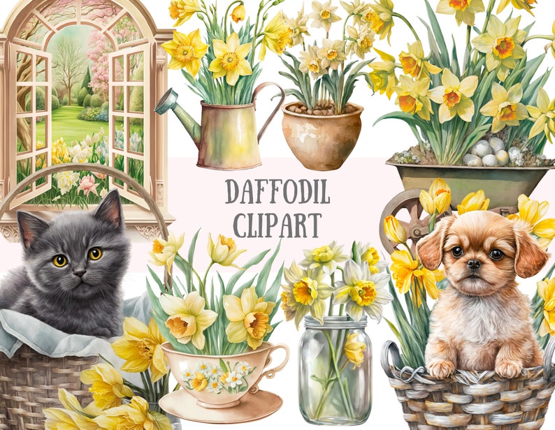 May include: A digital clipart set featuring yellow daffodils in various arrangements, including a window view, a watering can, a flower pot, a wheelbarrow, a teacup, a mason jar, and two baskets with a gray cat and a brown puppy.