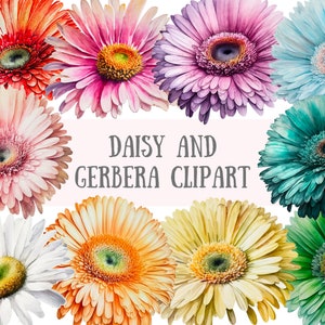 Marguerite et gerbera aquarelle Clipart fleur printanière PNG Image numérique à télécharger pour la fabrication de cartes Scrapbook Junk Journal travaux manuels en papier