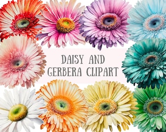 May include: A collection of ten watercolor illustrations of daisies and gerberas in various colors, including pink, blue, green, yellow, and orange. The flowers are arranged in a circle with the text "Daisy and Gerbera Clipart" in the center.