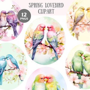 Aquarell Frühling Lovebird Clipart Pastell Blumen Liebe Vögel PNG digitale Bild-Downloads für die Kartenherstellung Scrapbook Junk Journal Papierhandwerk