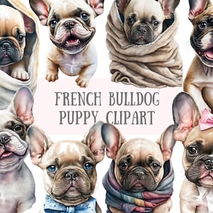 Clipart de filhotes de buldogue francês em aquarela - download de imagens digitais PNG de cachorrinho para fazer cartões, álbum de recortes, diário de lixo, artesanato em papel