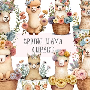 Aquarelle printemps Lama Clipart - Pâques lamas PNG Image numérique à télécharger pour la fabrication de cartes, scrapbooking, journal indésirable, travaux manuels en papier