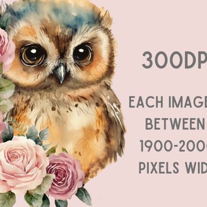May include: A watercolor painting of an owl with large brown eyes, surrounded by pink roses. The text "300DPI EACH IMAGE IS BETWEEN 1900-2000 PIXELS WIDE" is in the background.