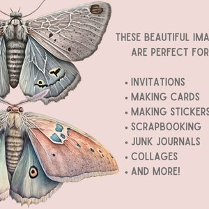 Akvarell pastellmalar Clipart Luna Moth PNG Digitala bildnedladdningar för korttillverkning Scrapbook Junk Journal Papperspyssel bild 5