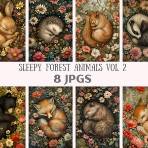 Clipart animaux de la forêt somnolent aquarelle animaux de la forêt JPG téléchargements d'images numériques pour la fabrication de cartes scrapbooking journal indésirable artisanat en papier