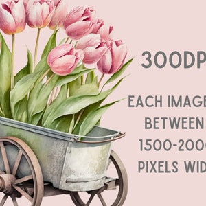 Watercolour Vintage Pink Tulip Clipart Pink Spring Flower PNG Digital Image Downloads for Card Making Scrapbook Junk Journal Paper Crafts image 3