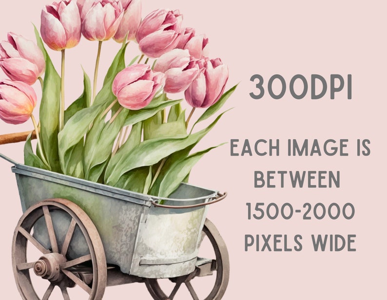 Watercolour Vintage Pink Tulip Clipart Pink Spring Flower PNG Digital Image Downloads for Card Making Scrapbook Junk Journal Paper Crafts image 3