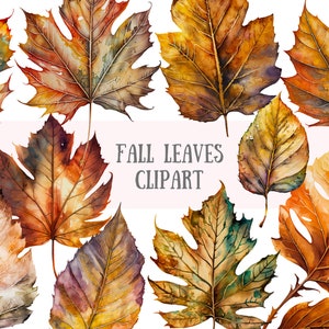 Acuarela Hojas de Otoño Clipart Hoja de Otoño PNG Descargas de imágenes digitales para hacer tarjetas Scrapbook Junk Journal Paper Crafts