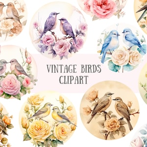 Aquarell Vintage Vogel Clipart Pastell Floral Vogel Grafiken PNG Digitales Bild Downloads für die Kartenherstellung Scrapbook Junk Journal Papierhandwerk