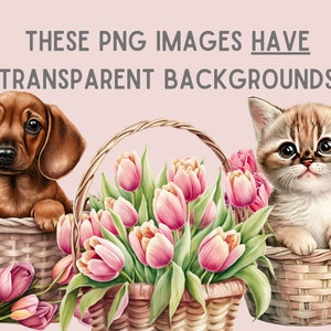Watercolour Vintage Pink Tulip Clipart Pink Spring Flower PNG Digital Image Downloads for Card Making Scrapbook Junk Journal Paper Crafts image 6