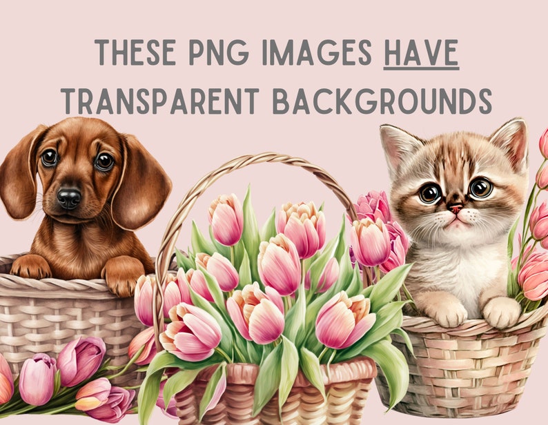Watercolour Vintage Pink Tulip Clipart Pink Spring Flower PNG Digital Image Downloads for Card Making Scrapbook Junk Journal Paper Crafts image 6