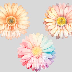 May include: Three watercolor illustrations of daisies with the text "JAR OF WHIMSY" on each. The daisies are in shades of pink, peach, and rainbow.