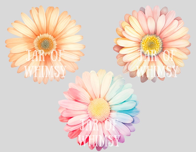 May include: Three watercolor illustrations of daisies with the text "JAR OF WHIMSY" on each. The daisies are in shades of pink, peach, and rainbow.