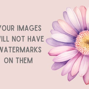 May include: A pink and purple watercolor daisy with a yellow center. The text "YOUR IMAGES WILL NOT HAVE WATERMARKS ON THEM" is in the background.