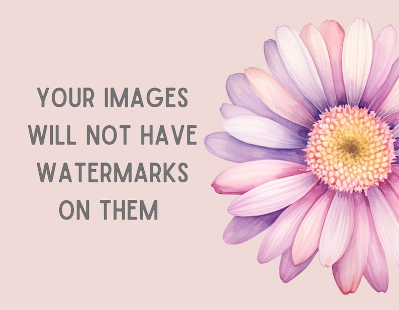 May include: A pink and purple watercolor daisy with a yellow center. The text "YOUR IMAGES WILL NOT HAVE WATERMARKS ON THEM" is in the background.