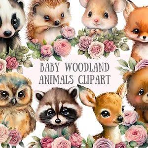 May include: A set of watercolor illustrations of baby woodland animals, including a raccoon, owl, deer, bear, hedgehog, fox, mouse, and badger. The animals are surrounded by pink roses and green leaves. The text "BABY WOODLAND ANIMALS CLIPART" is written in gray on a white background.