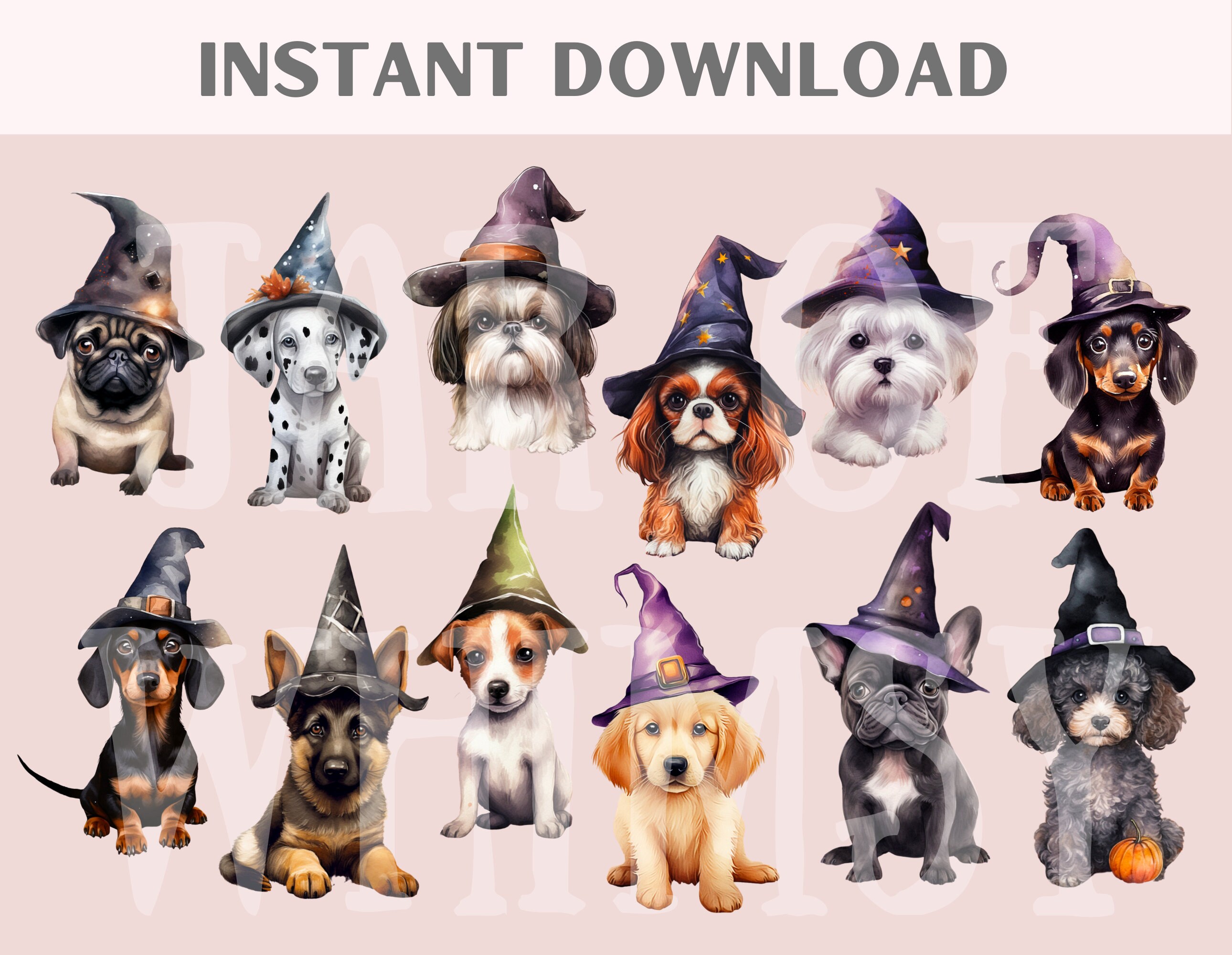 Watercolour Witch Puppy Clipart Halloween Puppies PNG Digital Image ...