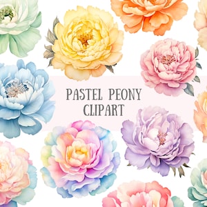 Acquerello pastello peonia Clipart Spring Flower Elements PNG Download di immagini digitali per la realizzazione di cartoline Scrapbook Junk Journal Paper Crafts