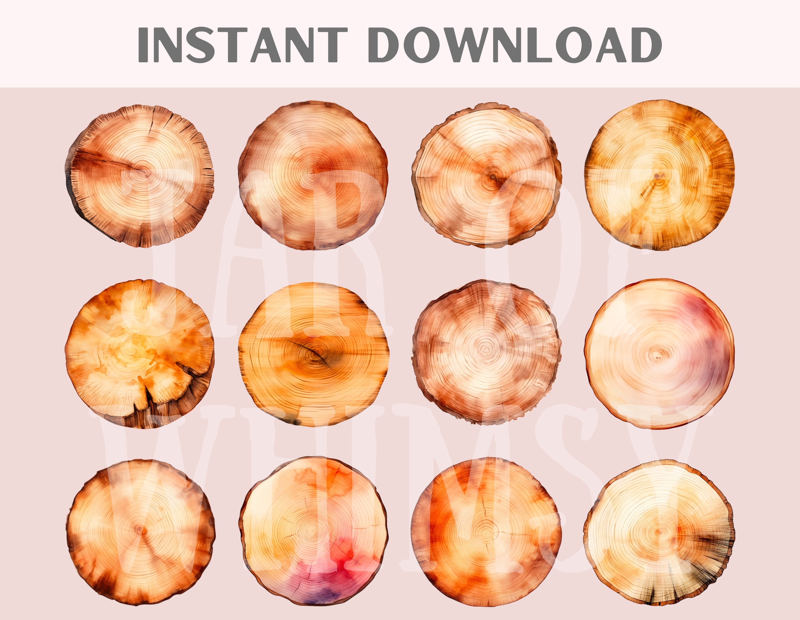 Watercolour Wood Slice Clipart Wooden Disc Illustration PNG Digital ...