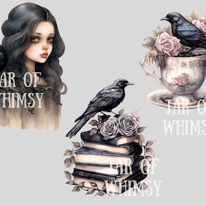 Op de afbeelding: Drie digitale illustraties met zwarte vogels en de tekst "JAR OF WHIMSY". De eerste afbeelding toont een meisje met lang zwart haar en een zwarte vogel die op haar schouder zit. De tweede afbeelding toont een zwarte vogel die op een stapel boeken met rozen zit. De derde afbeelding toont een zwarte vogel die op een theekopje met rozen zit.
