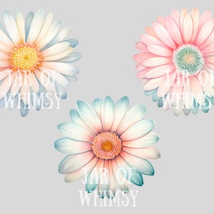 May include: Three watercolor illustrations of pastel-colored daisies with a blue-green gradient on the edges. Each daisy has the text "JAR OF WHIMSY" in white.