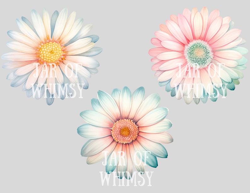 May include: Three watercolor illustrations of pastel-colored daisies with a blue-green gradient on the edges. Each daisy has the text "JAR OF WHIMSY" in white.