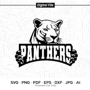 Panthers SVG PNG, Panthers Face svg, Panther, Panthers Mascot svg, Panthers Cheer svg, Panthers Vibes svg, School Spirit svg, Panthers Sport
