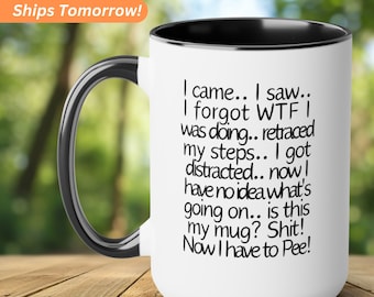 Funny Mug, Old People Gift, I Came I Saw I Forgot What I Was Doing Coffee Mug, Senior Citizen Mug, Sarcastic Gift, Work Mug, Workmate Gift