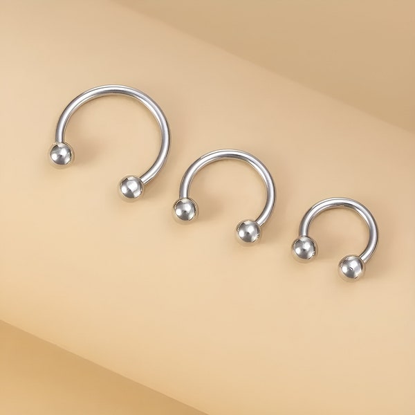 Titanium Internally Threaded Ring•  Horseshoe• Curved Barbell•  Circular Bent Barbell•  Balls Ends•  Body Jewelry