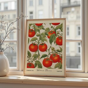 Pu&ograve; includere: Una stampa incorniciata con un'illustrazione botanica di pomodori. L'opera presenta pomodori rossi vibranti con foglie e viti verdi su uno sfondo crema. La stampa include il testo "William Morris" e "Tomatoes".